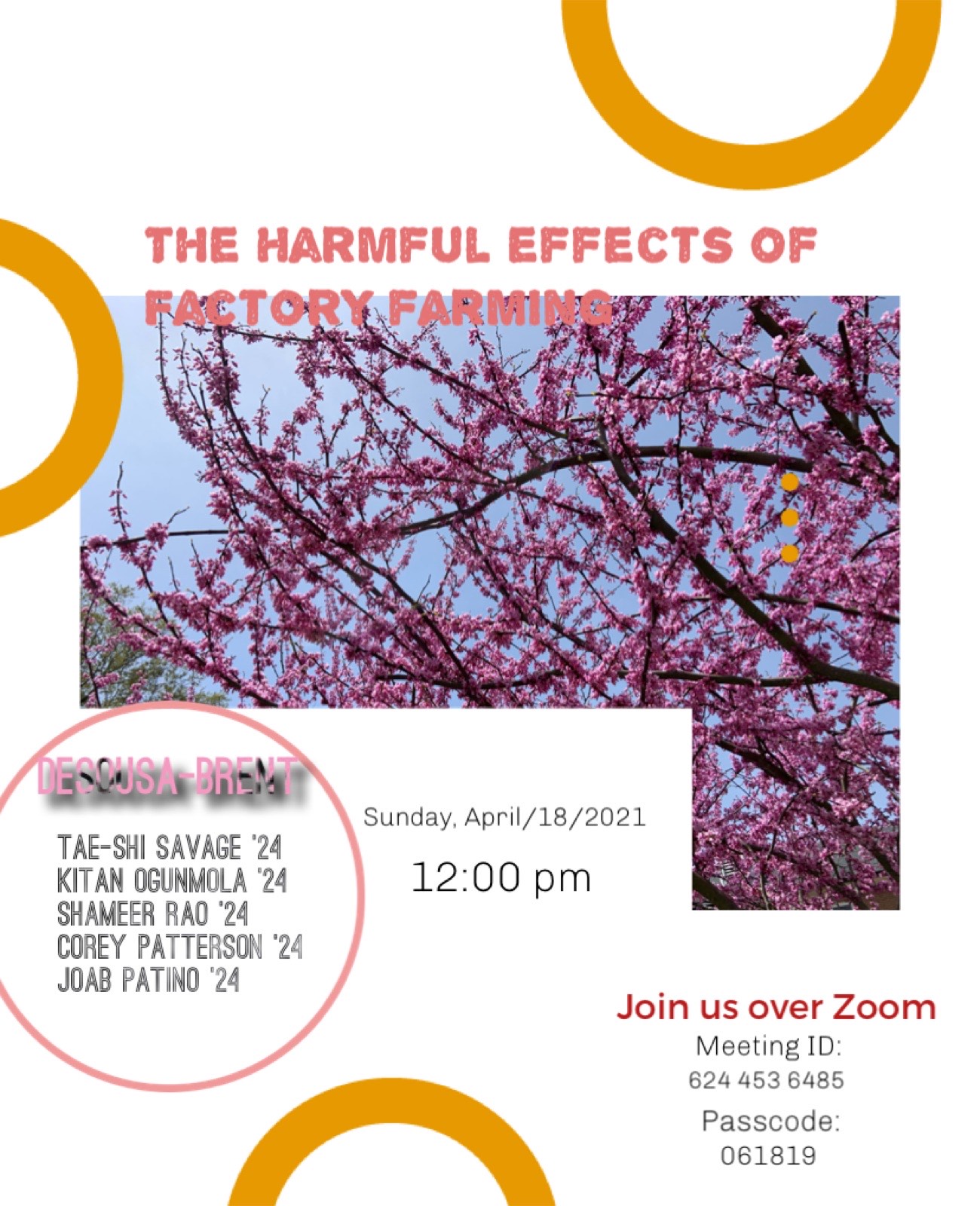 Poster with orange circles and a picture of a blooming pink tree. Event information repeated in descpription