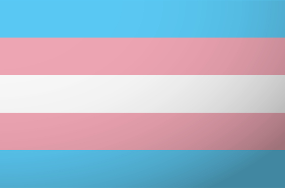 Transgender Flag:  consists of light pink, baby blue, and white colors.