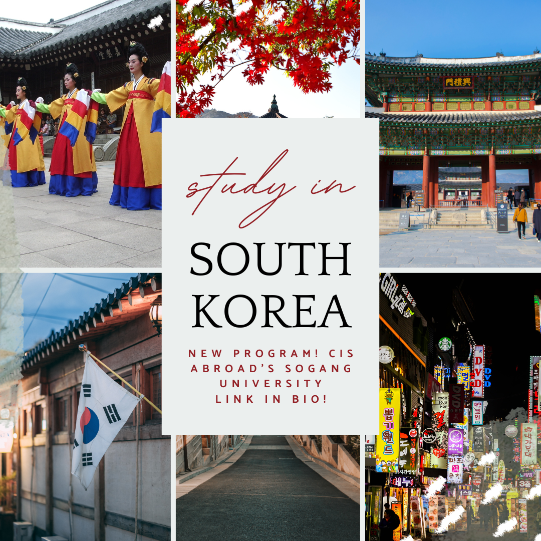 Study in South Korea: Academics, Temples, Tradition, Bustling City, and more!