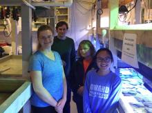 Students maintain the Maryland Marine Microcosm Lab