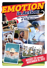 Emotion in Action poster image